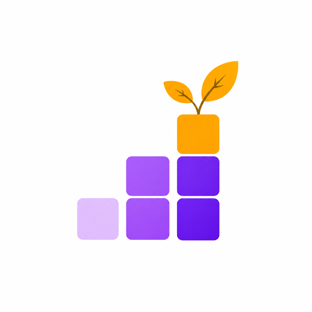 Solum Lab Foundation